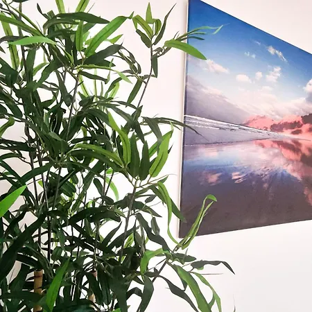 公寓 Volkkanrentals Casa Pilar *